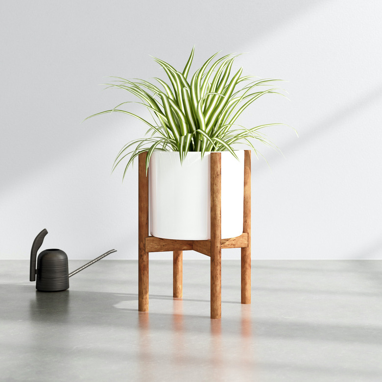 white ceramic planter with walnut stand