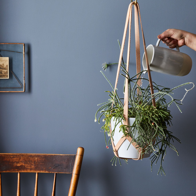 ceramic pot with leather plant hanger