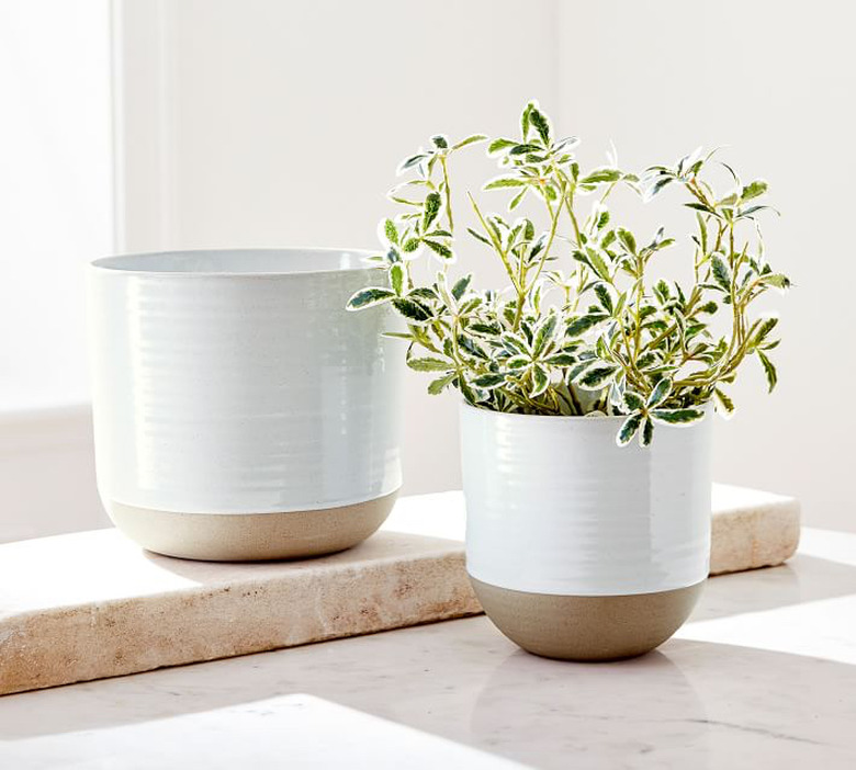 Pottery Barn Quinn Stoneware Planters