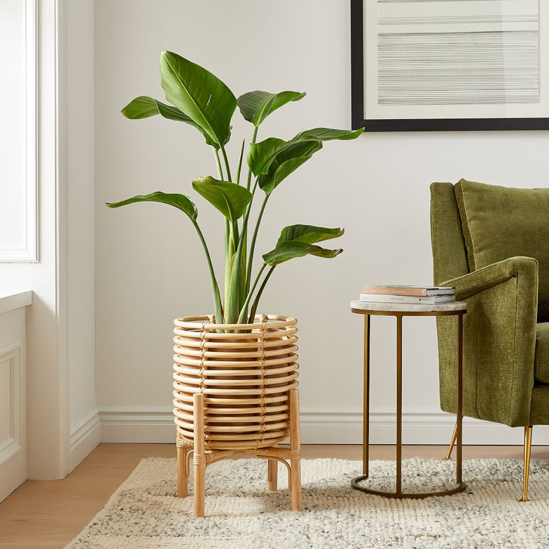 West Elm natural rattan planter