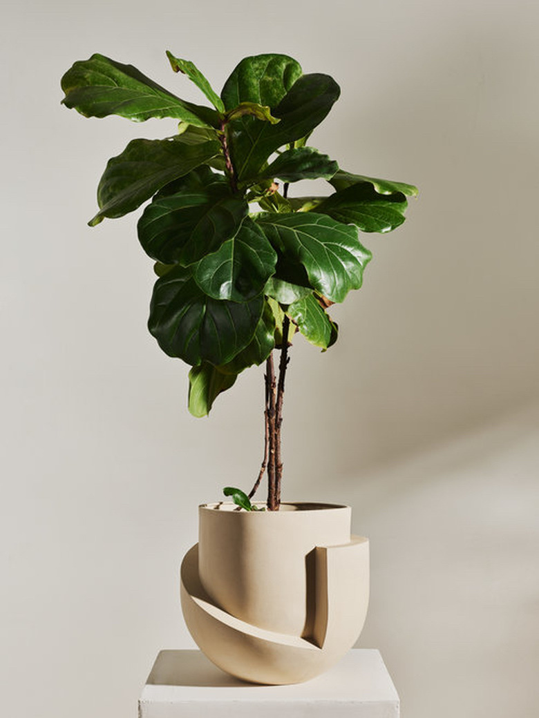 sand colored geometric floor planter