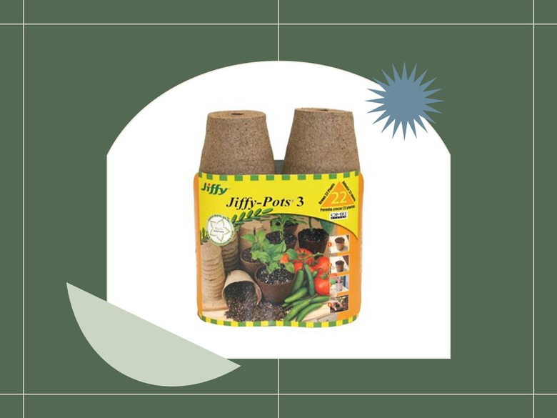 outdoor plant design