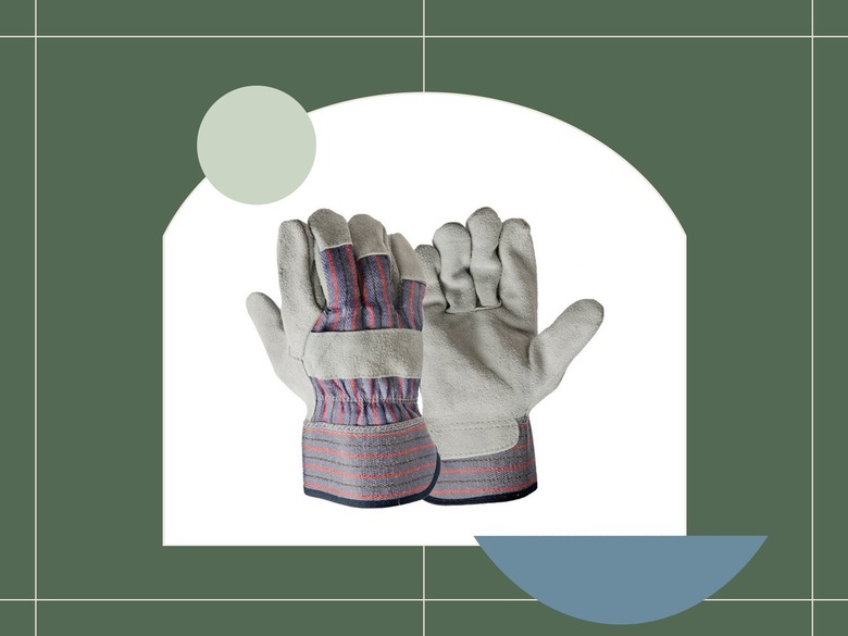 outdoor plant design