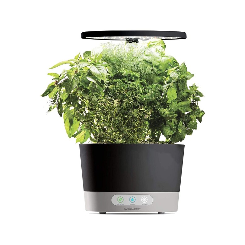 AeroGarden Harvest 360 with Gourmet Herb Seed Pod Kit
