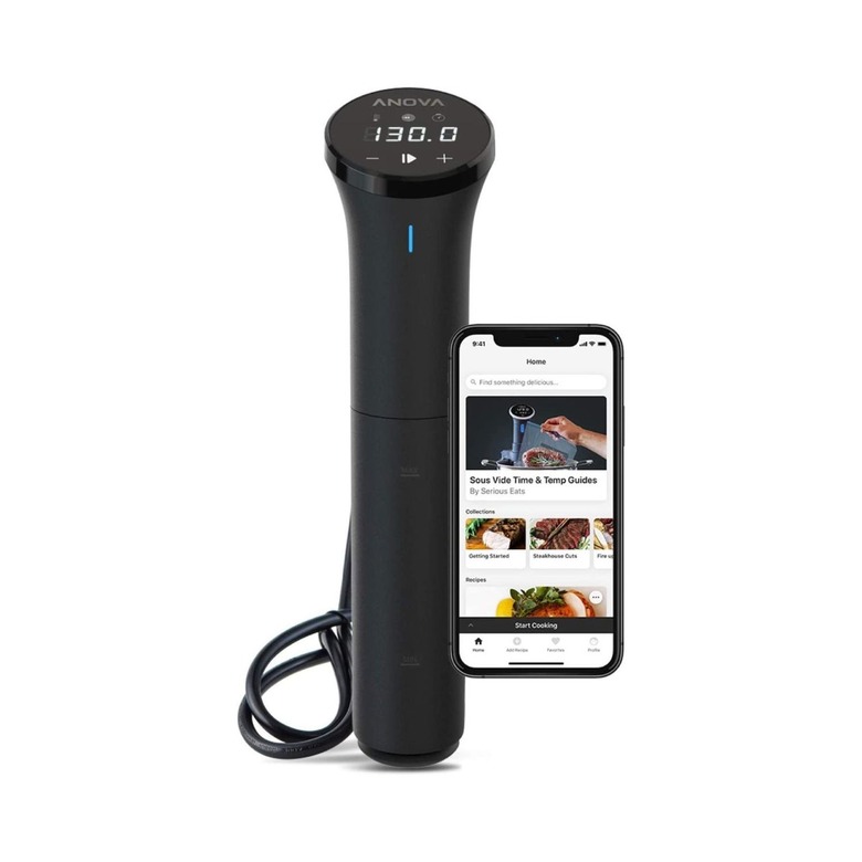 Anova Culinary AN400-US00 Nano Sous Vide Precision Cooker