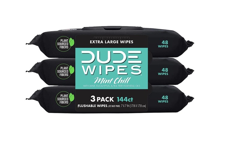 dude wipes
