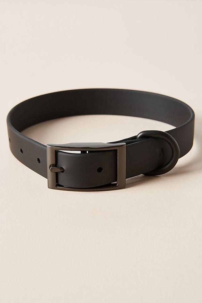black dog collar