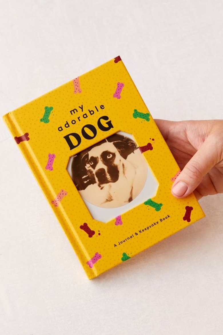 person holding book with title my adorable dog