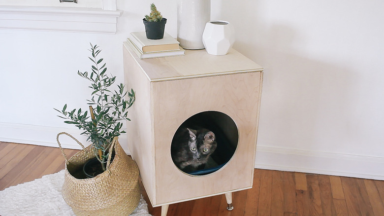 Plywood kitty litter hider box - DIY