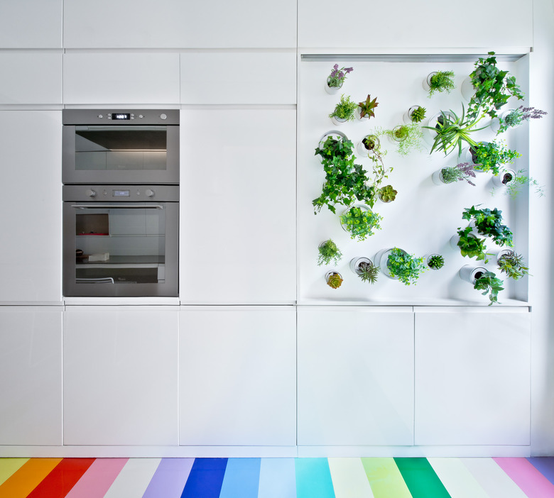 modern white kitchen with hydroponic vertical garden and rainbow floor