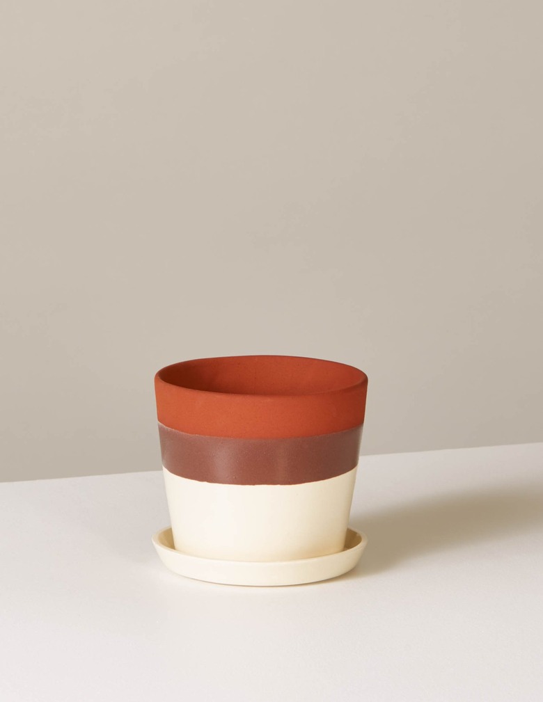 striped ceramic planter