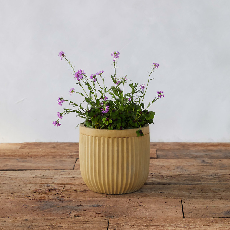 concrete pot with plant inside