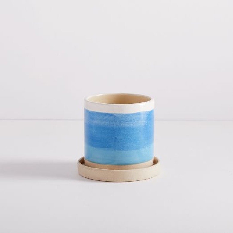 blue planter with saucer