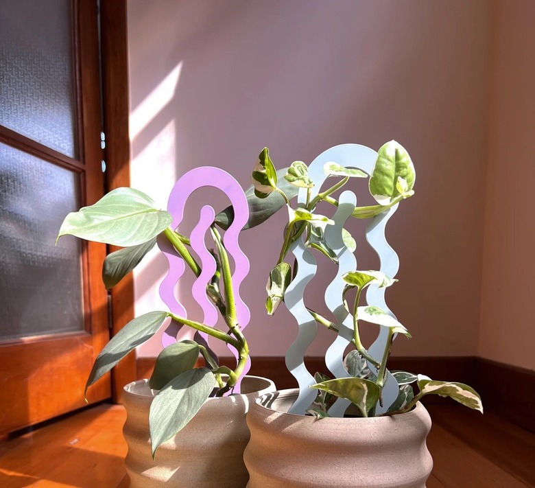 Secateur Me Baby flo plant stakes in purple and light blue