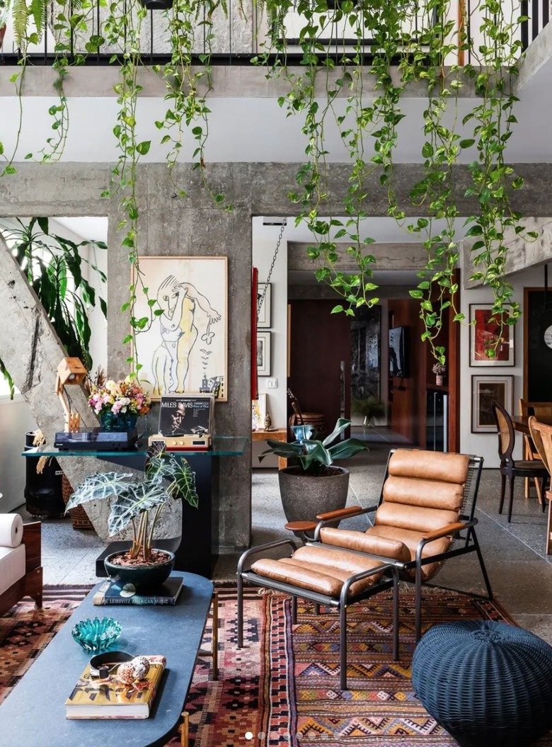 Modern living room with hanging plants