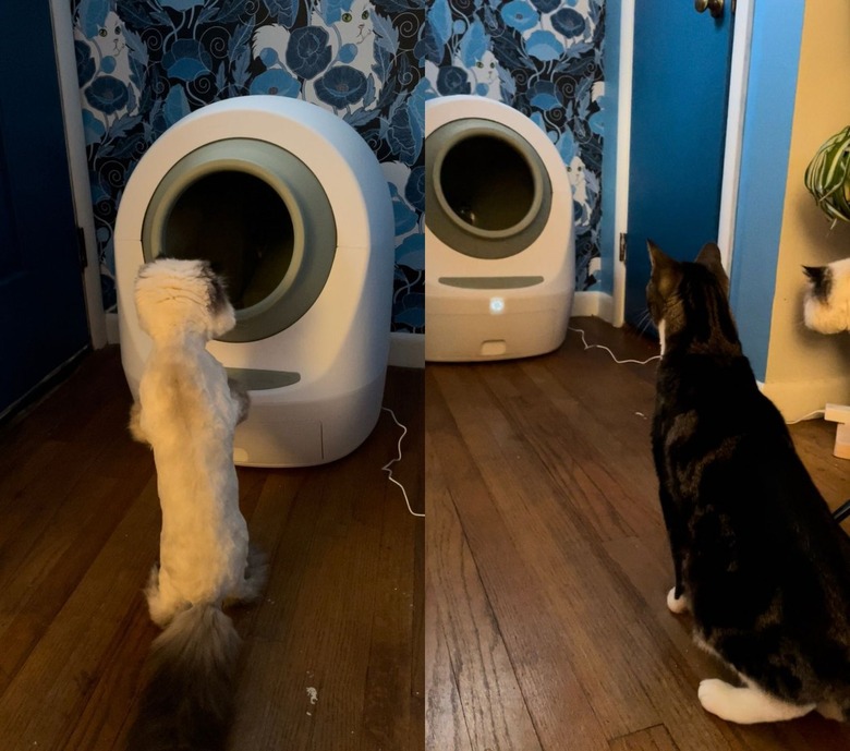 leo's loo too review