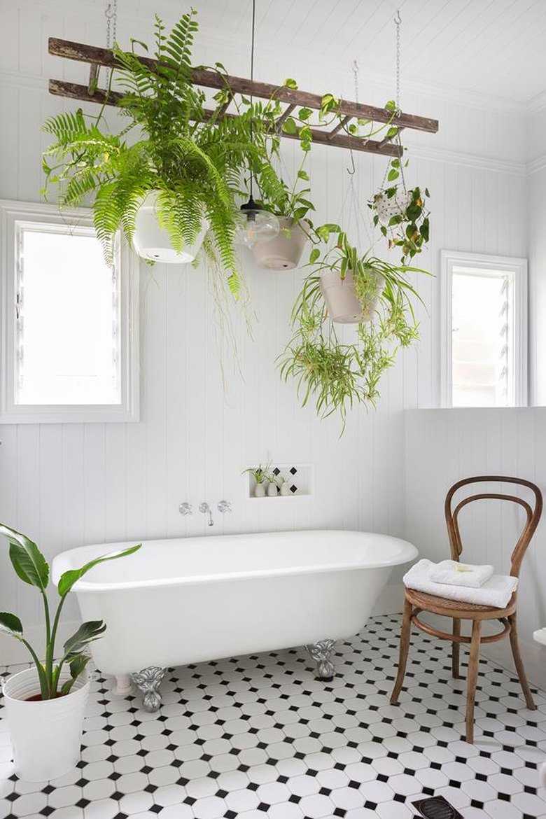 Scandinavian bathroom with clawfoot bathtub and hanging plants