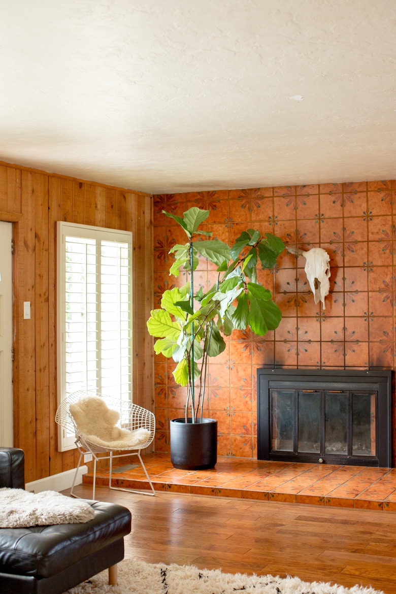 Fireplace with tall plant in front