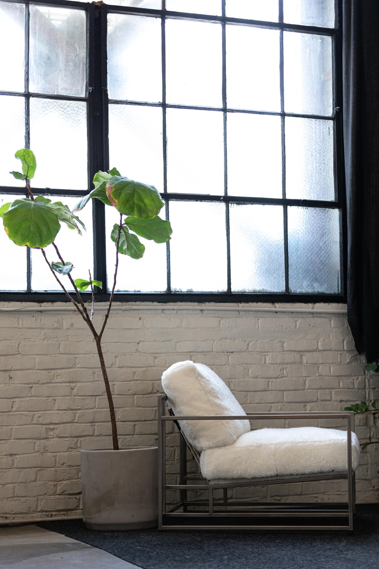 Plant in an industrial space