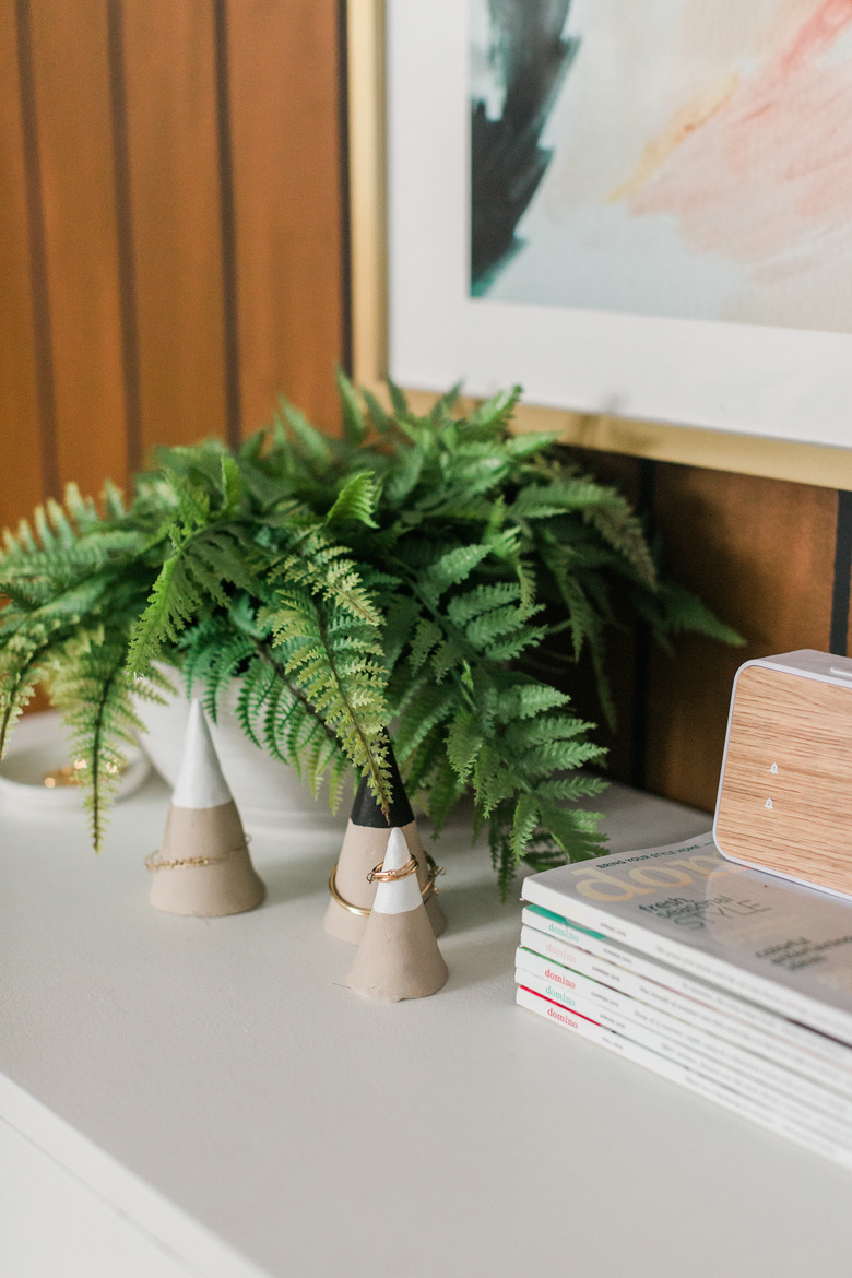 Fern plant on a dresser