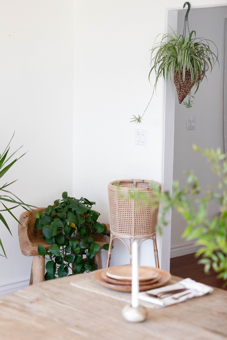 Hanging plant and sitting plant