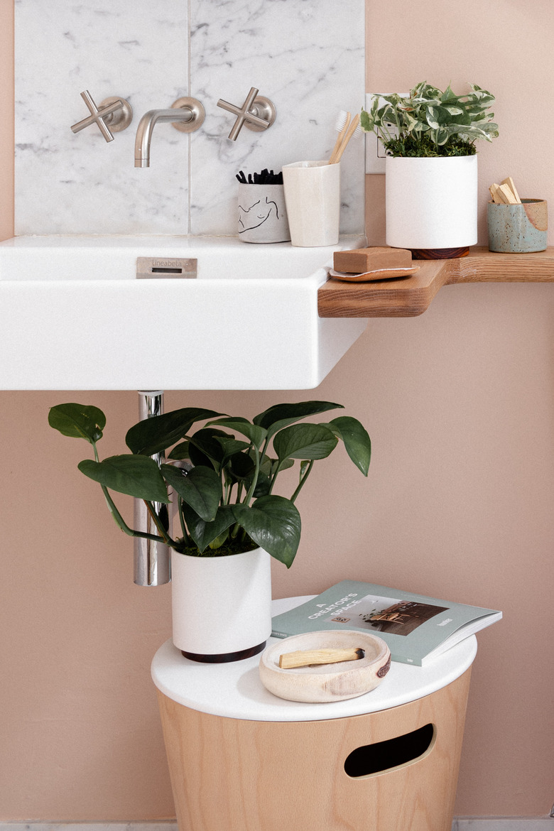 Bathroom sink with plants