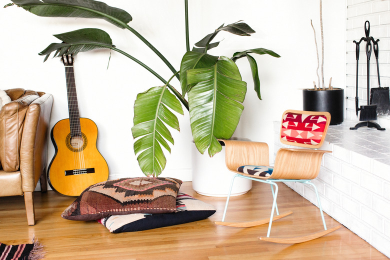 Big palm plant in corner next wood modern rocking chair and floor pillows