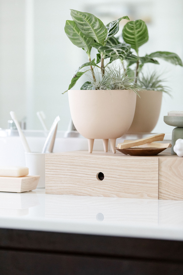 Bathroom counter with plant