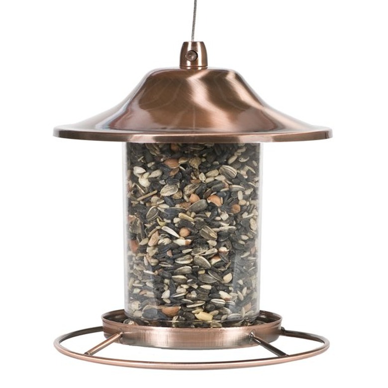 garden bird feeder