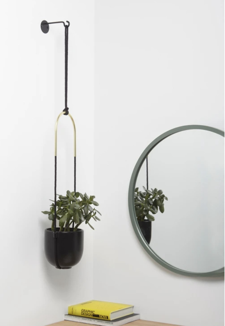 Bolo Hanging Planter