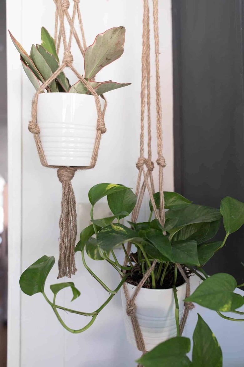 DIY Macrame Hanging Planters