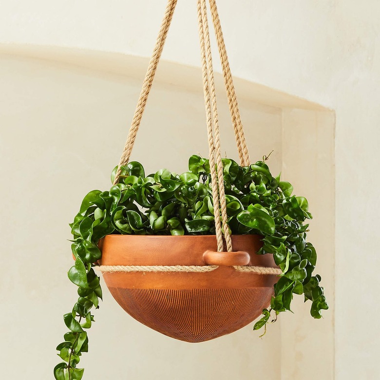 CB2 Salvador hanging outdoor planter