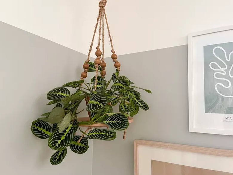 DIY Wood Charger Hanging Planter