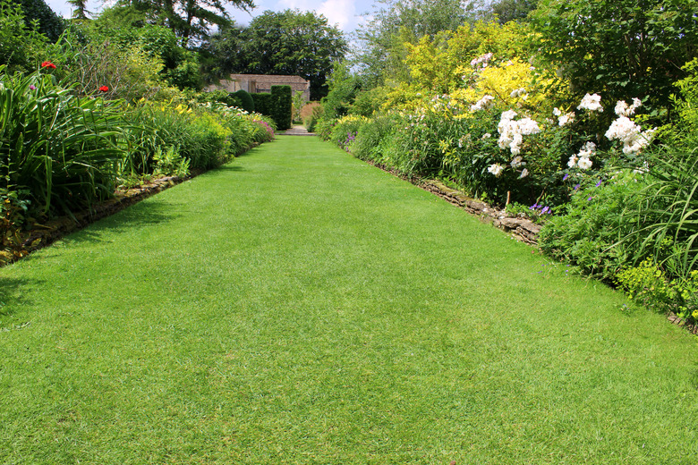 Image of ornamental flower garden with lawn pathway