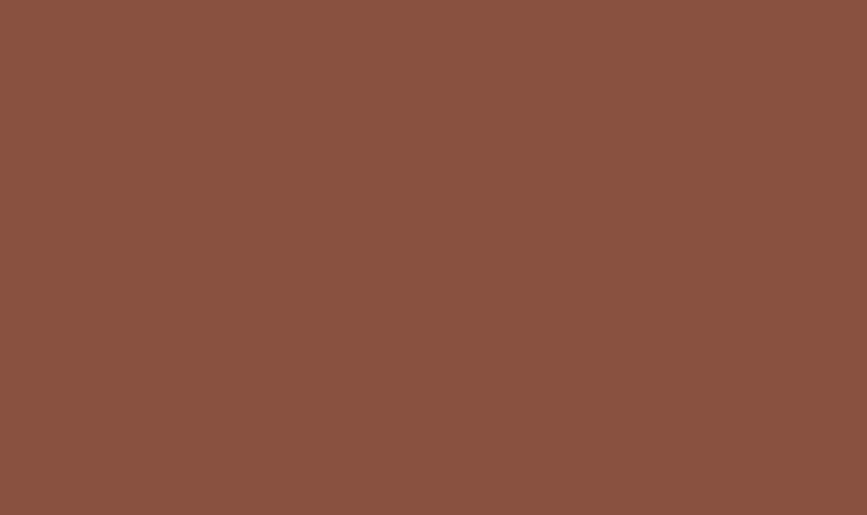 swatch of Sherwin-Williams sierra redwood paint