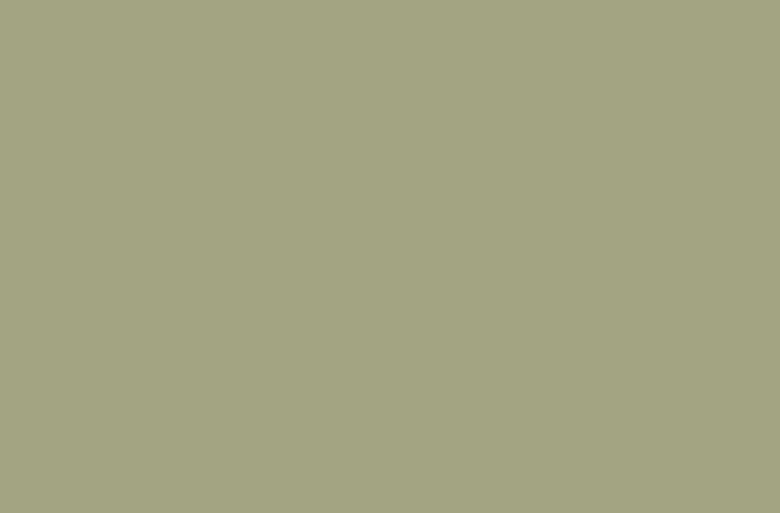 swatch of Valspar brisk olive paint