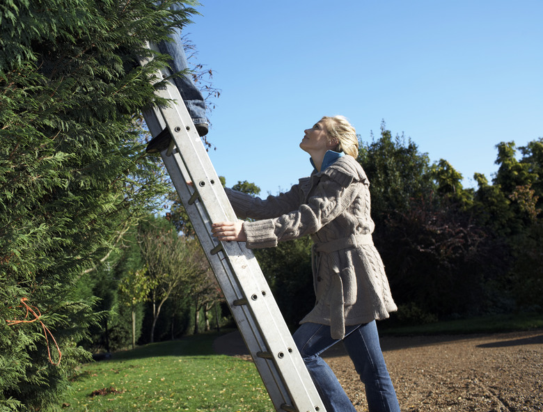 Young woman holding ladder