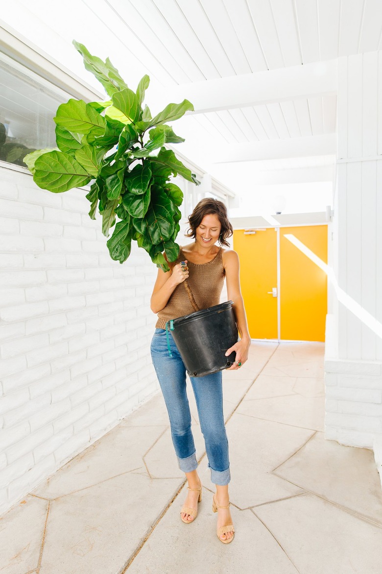 a woman carries a large potted plant through a a hallway with white walls