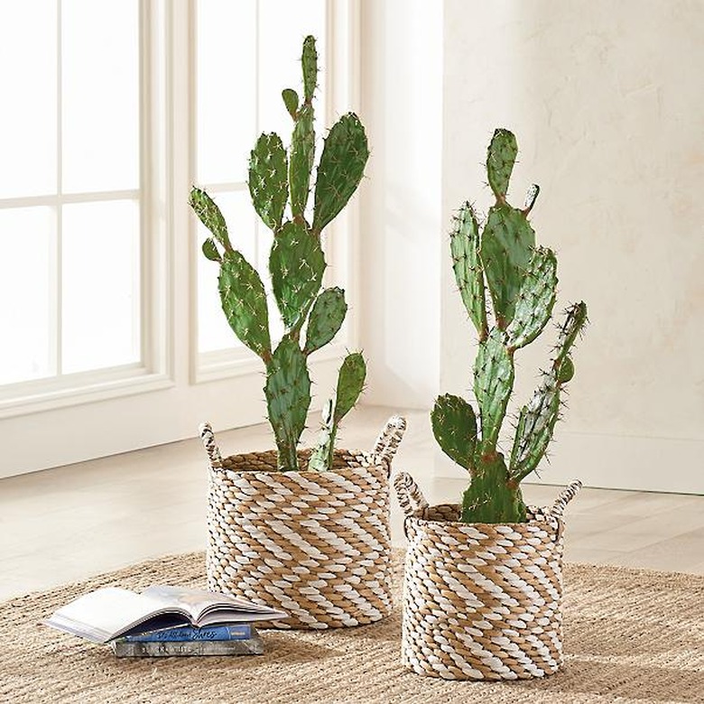 faux cacti in woven planters