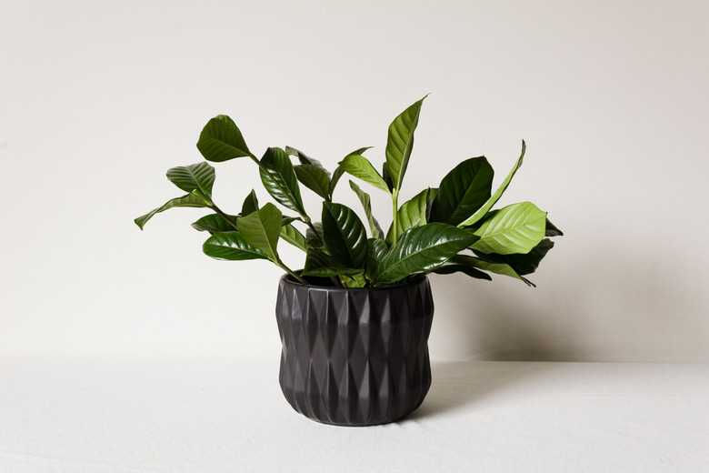 DIY Valentine's Day Flower Arrangement