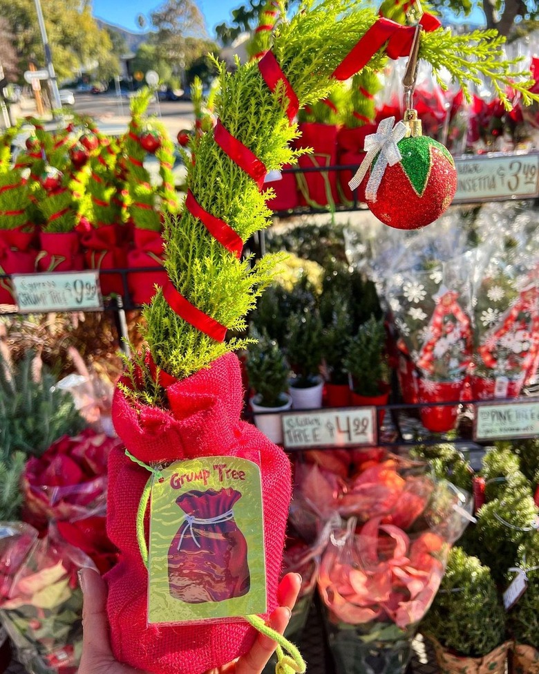 A Trader Joe's Grump Tree