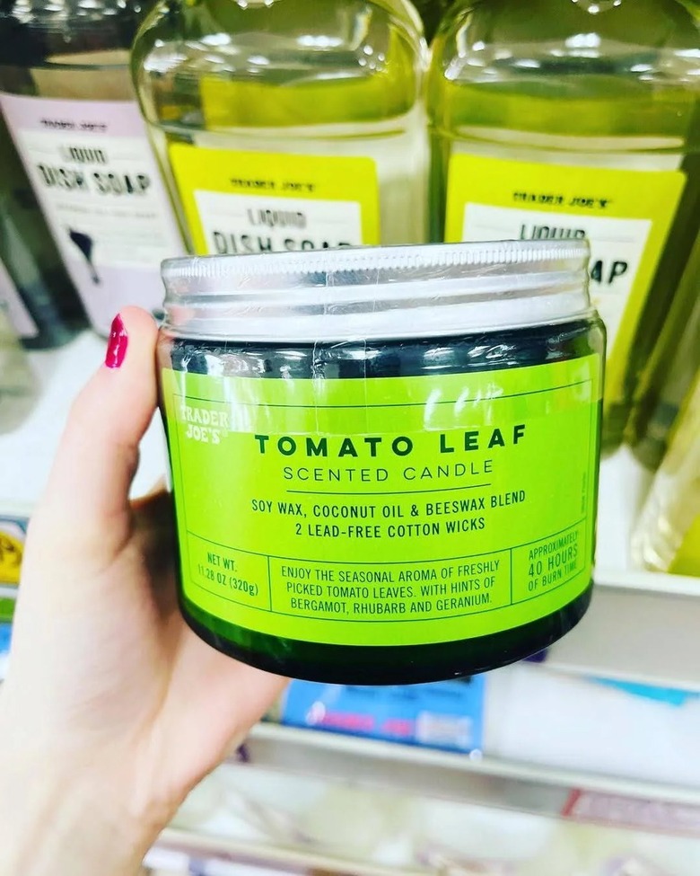 Trader Joe's tomato leaf candle