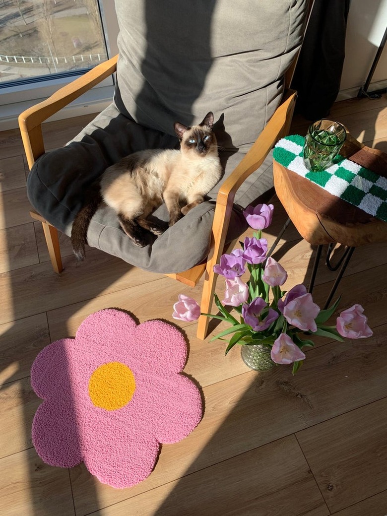 cat sitting on chair with tufted handmade flower rug nearby