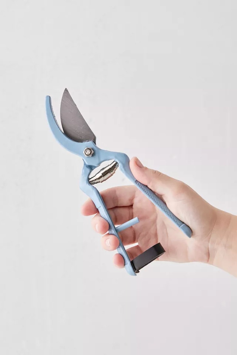 person holding gardening shears
