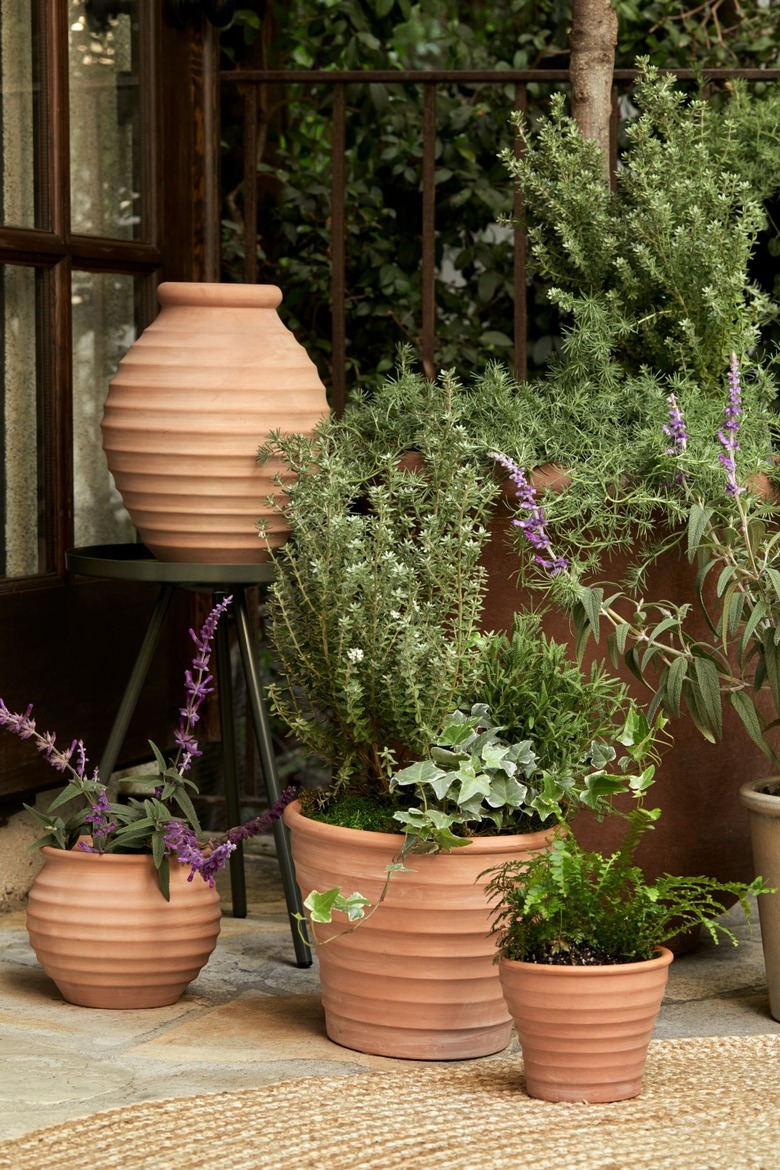 plants in terra cotta planters in an outdoor space