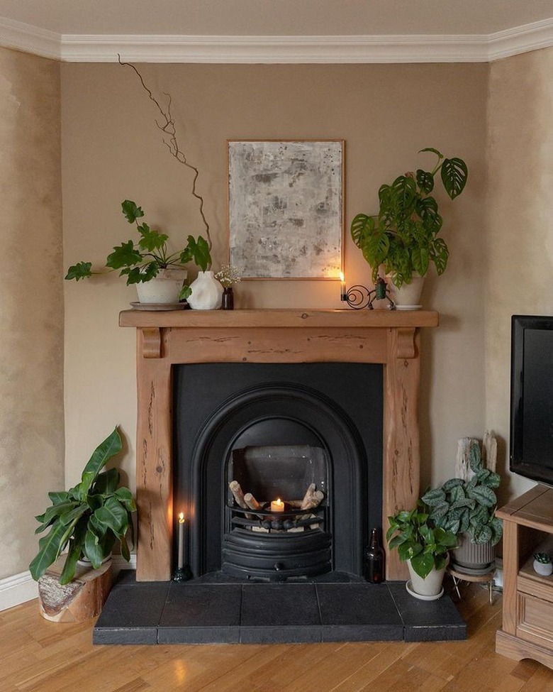 fireplace in beige room with plants next to and on top of it
