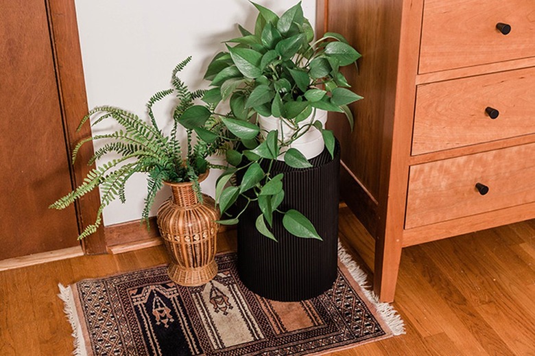 Pothos on a black plant stand next to a wood dresser