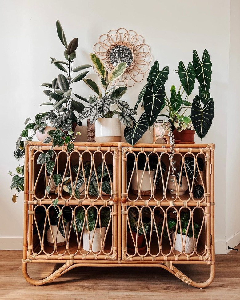 rattan cabinet filled with plants