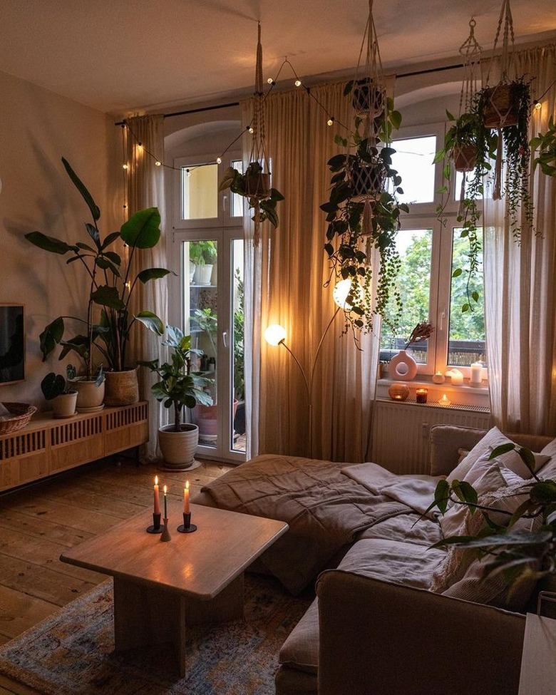 living room with hanging plants and mood lighting