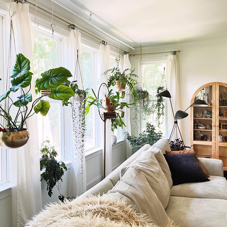living room with green plants hanging in front of sheer curtains
